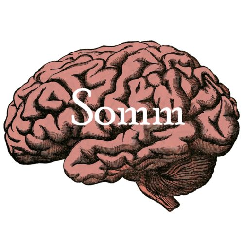 You Want Somm Brains